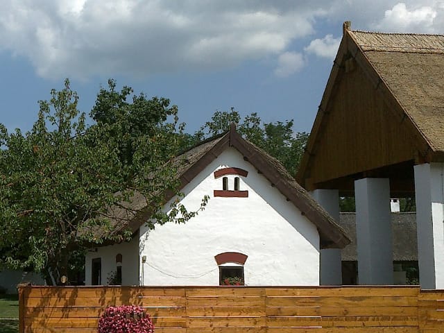 Folk-Art Country House in Buzsák